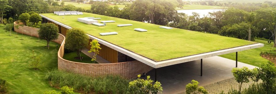 Création d&rsquo;espaces verts : comment planter une végétation sur son toit