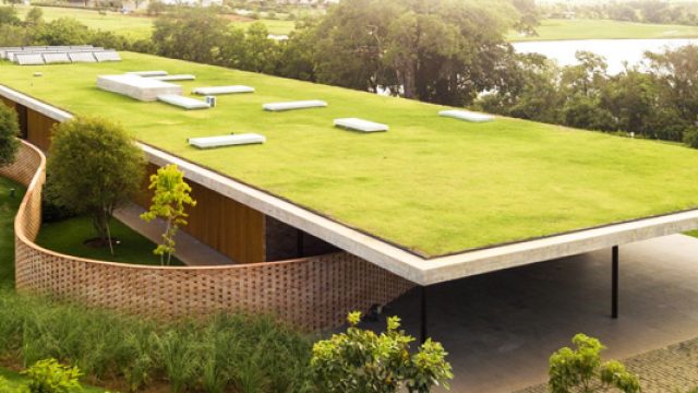 Création d’espaces verts : comment planter une végétation sur son toit
